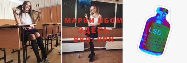стафф Михайловск