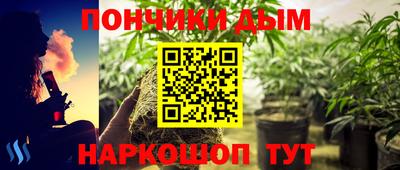 ПСИЛОЦИБИНОВЫЕ ГРИБЫ Гатчина
