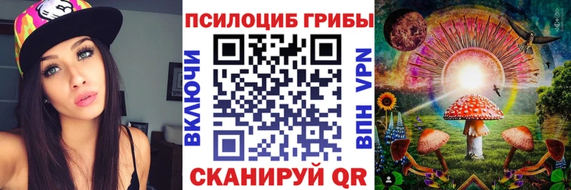 купить наркоту  Каменка  Псилоцибиновые грибы ЛСД 
