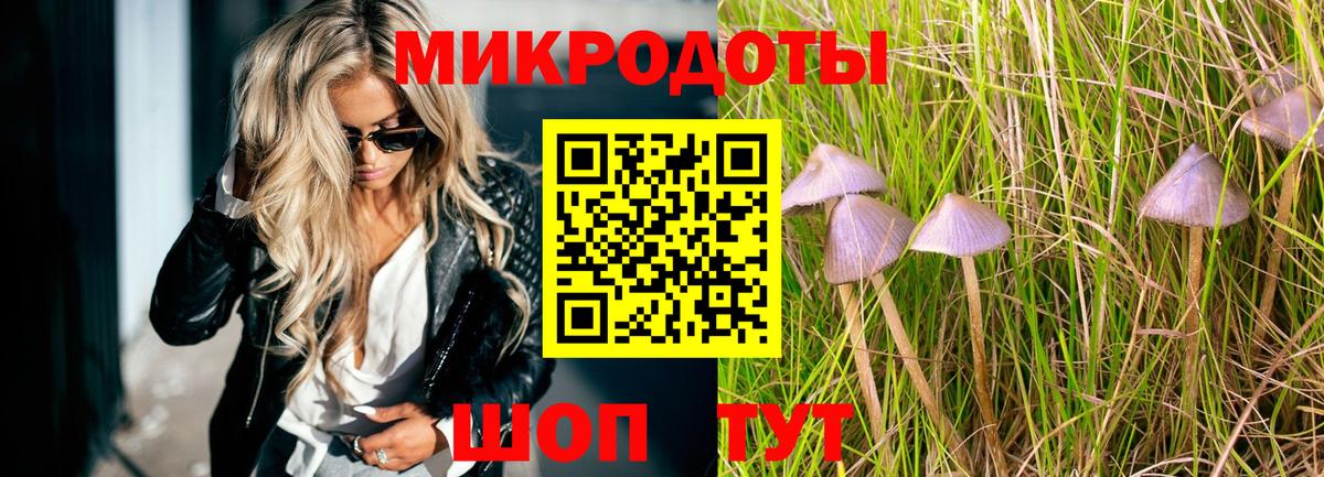Галлюциногенные грибы Magic Shrooms  что такое   Каменка 