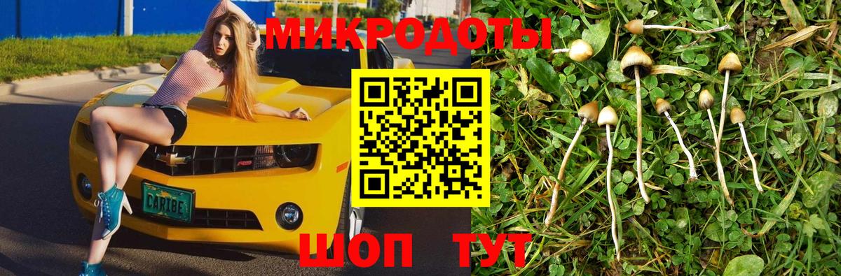 Галлюциногенные грибы MAGIC MUSHROOMS Каменка