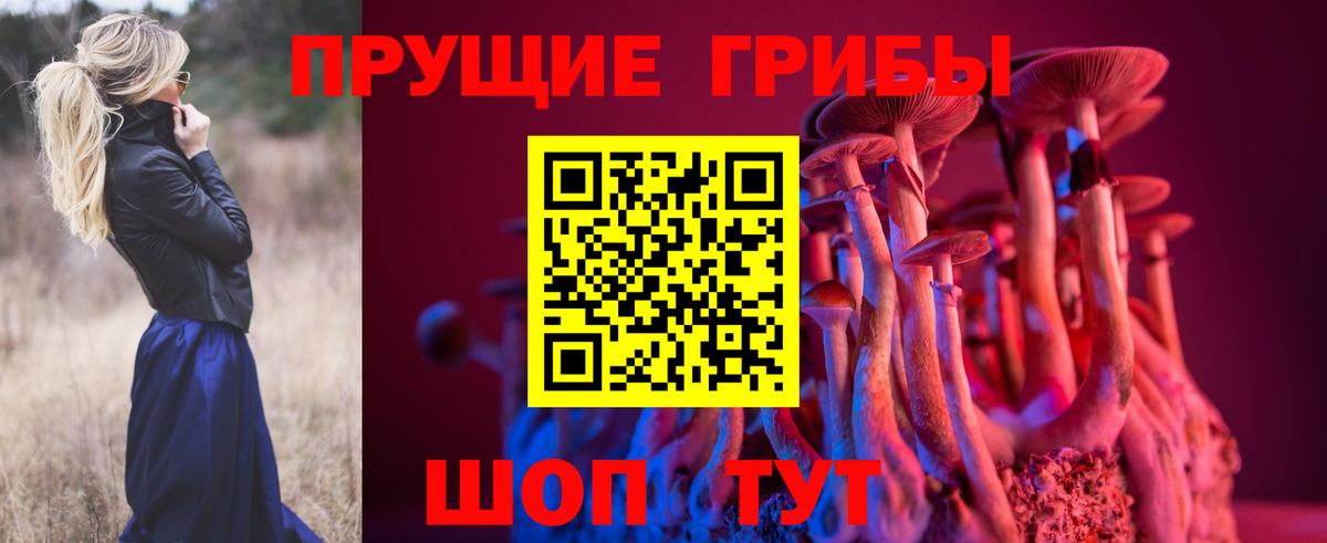 Псилоцибиновые грибы Magic Shrooms Каменка