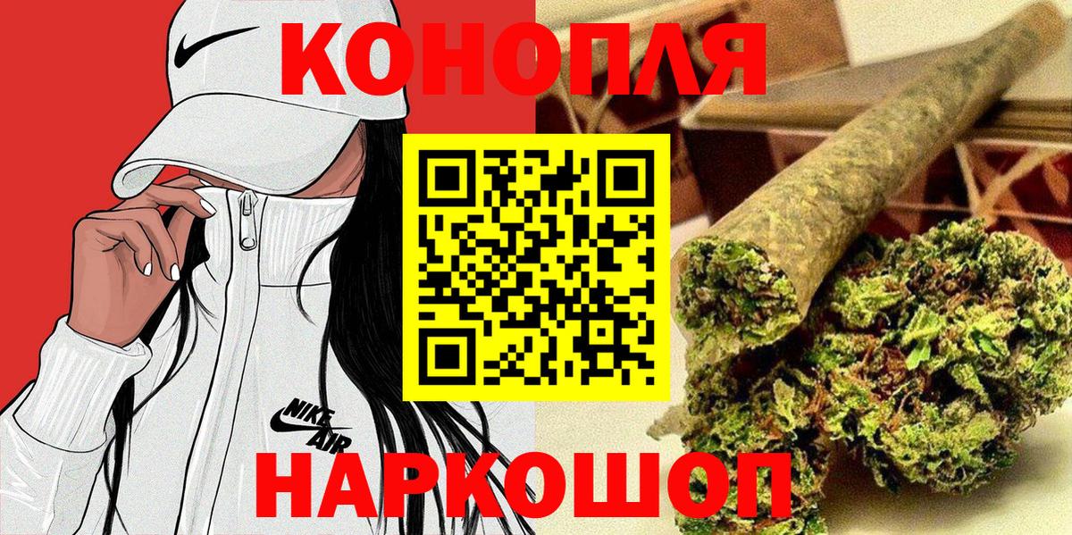 Каннабис планчик  Каменка  Бошки марихуана Ganja 